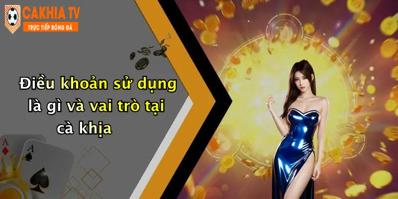 Điều khoản sử dụng là gì và vai trò tại cà khịa