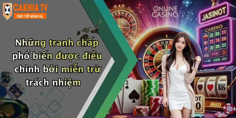 Những tranh chấp phổ biến được điều chỉnh bởi miễn trừ trách nhiệm